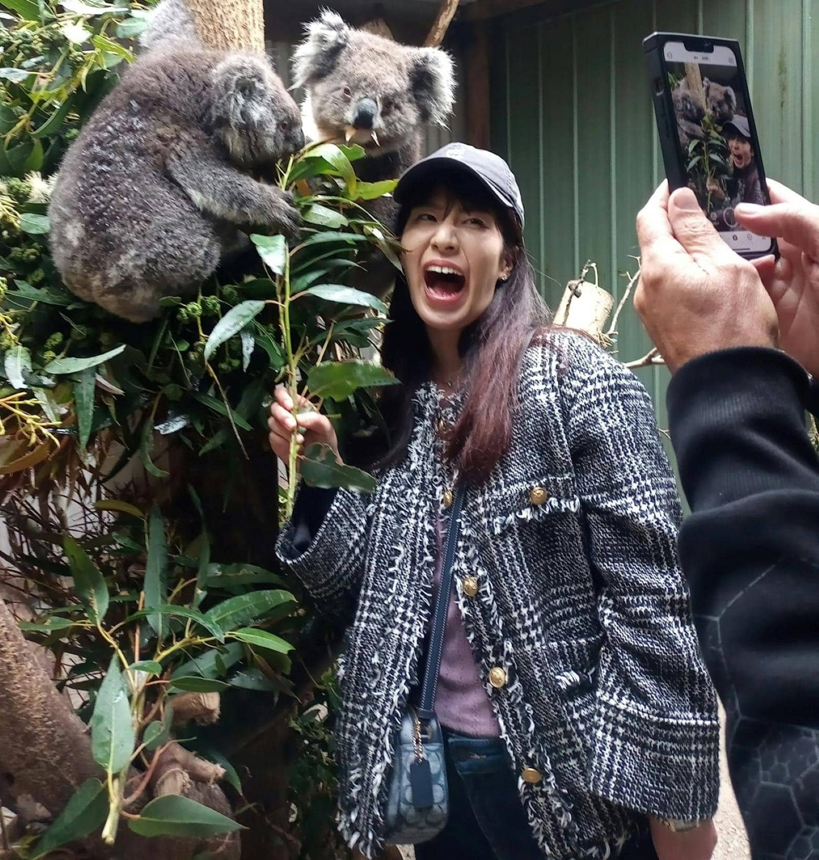 Fauna Australia