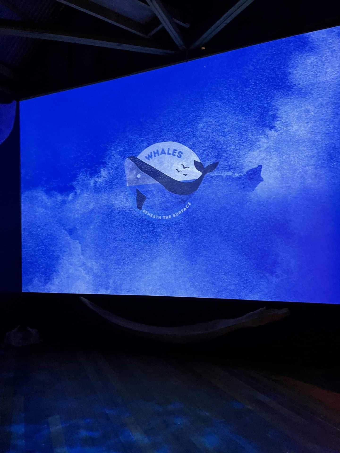Whales Beneath the Surface Exhibition