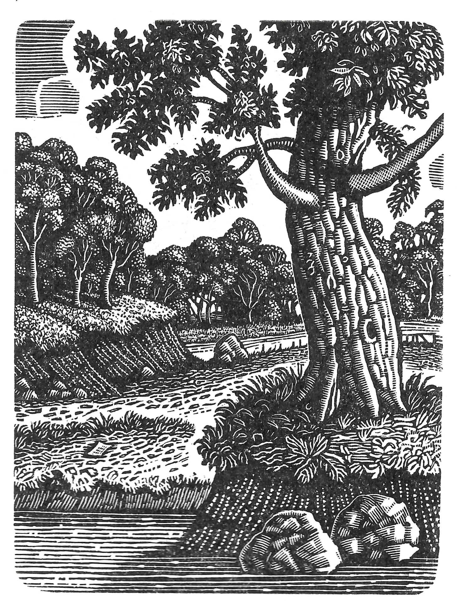 Wood Engraving and Printing with David Frazer